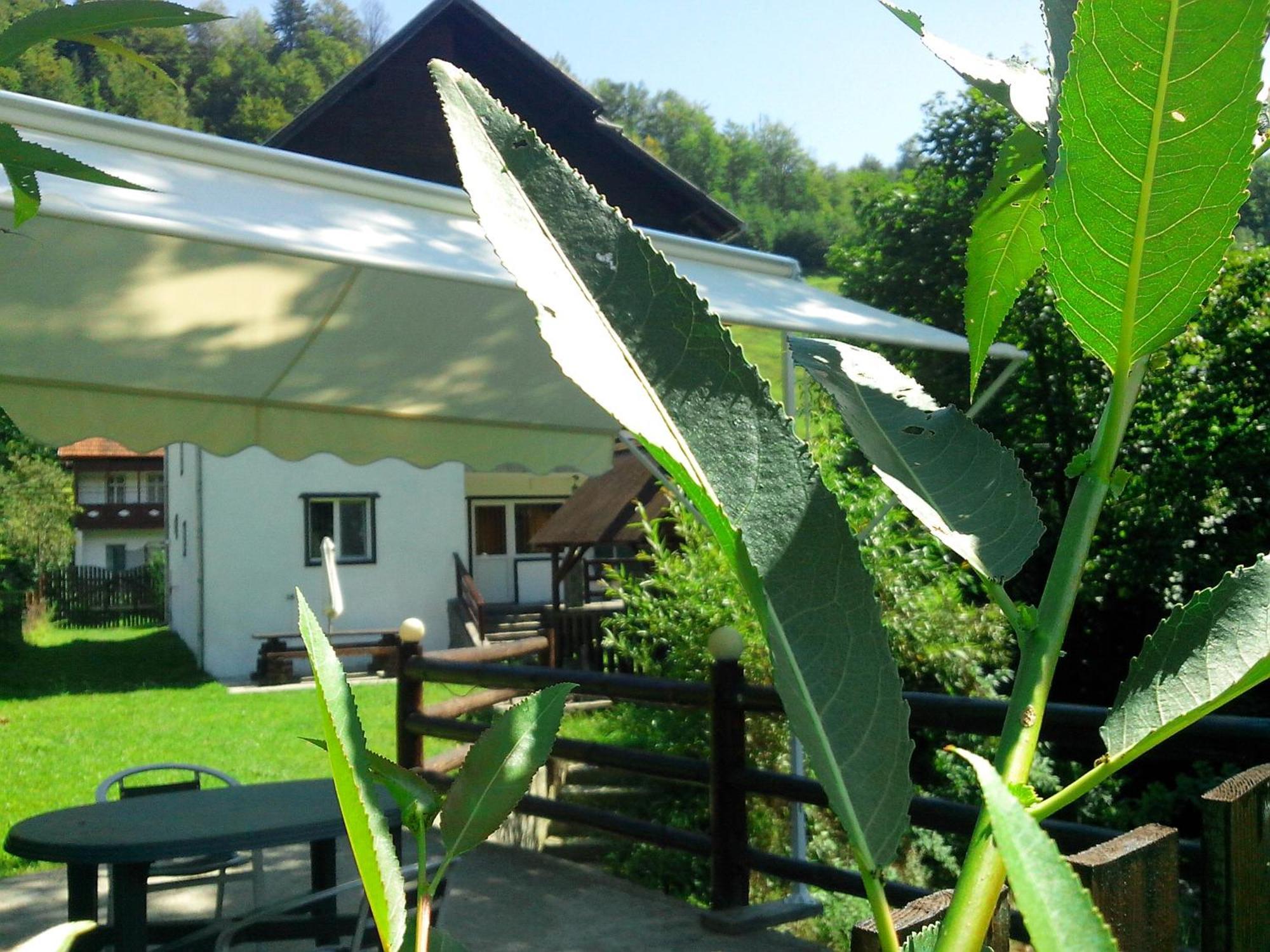 Vila Doina Branului Bran  Exterior foto